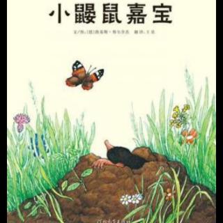 【故事5】《小鼹鼠嘉宝》 FM3339 喜洋洋幼儿园睡前故事