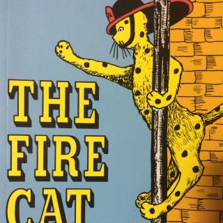 The Fire Cat