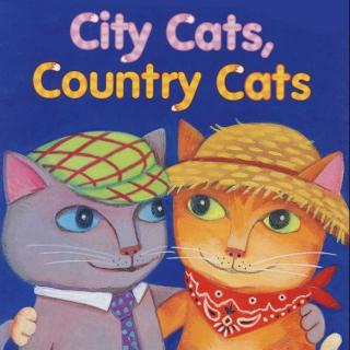 城里的猫和乡下的猫