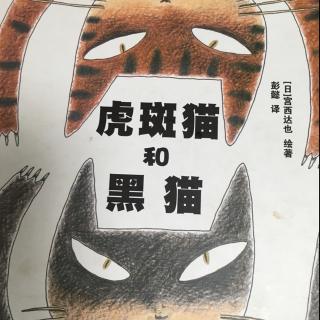 丫丫老师讲故事 虎斑猫和黑猫