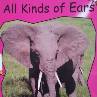 All kinds of Ears