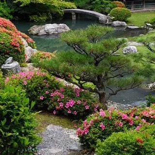 G大调苏格兰舞曲