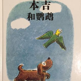 本吉和鹦鹉——致远妈妈