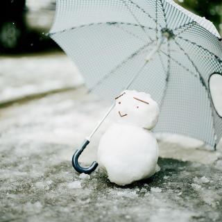 【20151122】下雪了，我们不撑伞，是不是，可以一路到白头