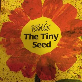 The tiny seed