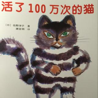 活了100万次的猫🐱