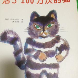 活了100万次的猫