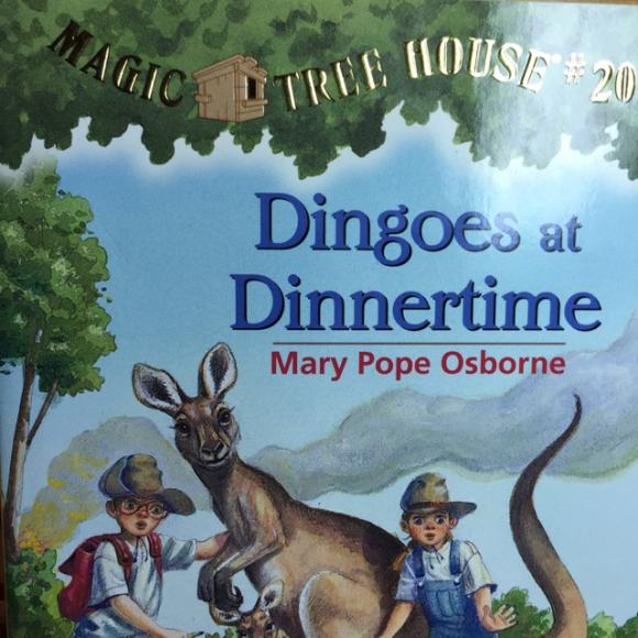 dingoes at dinnertime 1-5