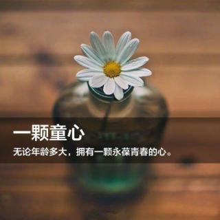 竹子开花，枯树发芽。