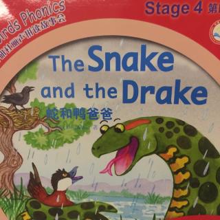 20151125The Snake and Drake