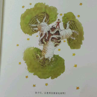 《小王子》第五章