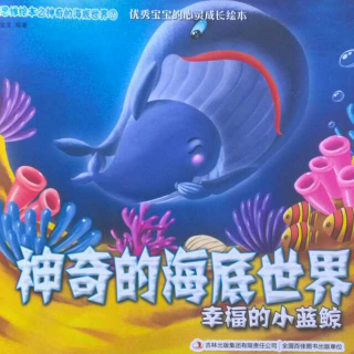 神奇的海底世界—幸福的小蓝鲸