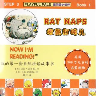 词汇拼读-hat/ sat/ cat/ rat