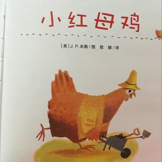 小红母鸡🐔