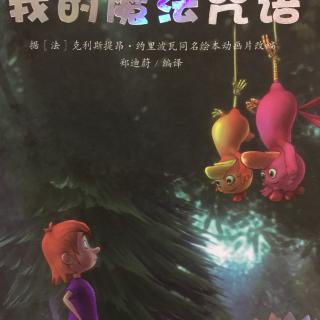 我的魔法咒语（卡梅系列）花花姐姐