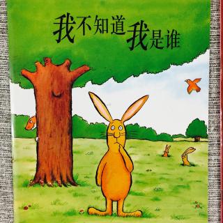 我不知道我是谁