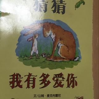 猜猜我有多爱你