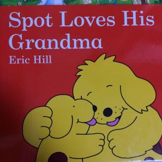 小波系列之小波爱奶奶Spot loves his grandma