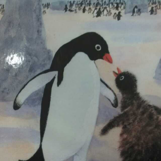 20151202162540绘本故事《小企鹅的故事》