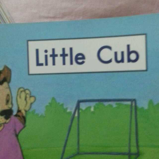 20151202135746Little  Cub