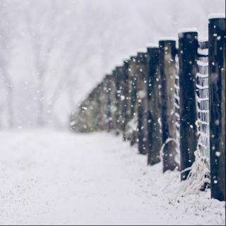 第四期    大雪 晚安