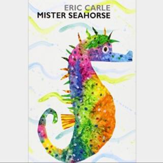 《Mister Seahorse》英语