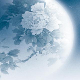 古风纯音乐--不知名