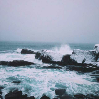 飞鸟途经海上