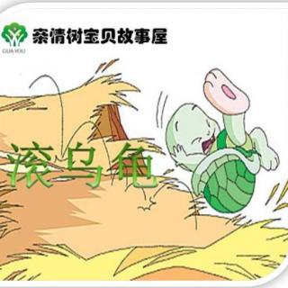 大六班葛林语讲故事：滚乌龟