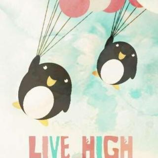 LIVE HIGH
