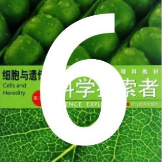 第6期【科学探索者】《从细菌到植物》1.4生命的起源