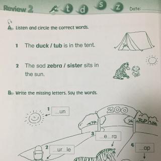 Phonics worksheet "tdsz"