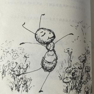小蚂蚁历险记～4.遇到蚜虫阿姨