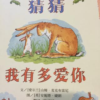 曈学讲故事---猜猜我有多爱你