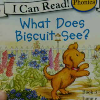 2015年12月7日《What does biscuit see?》