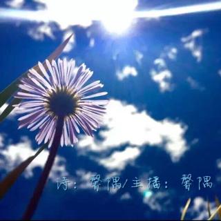 【原创鲜声🍀】蓝莲花～诗：馨隅/主播：馨隅