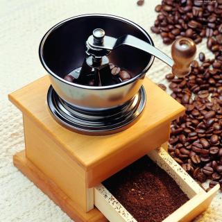 白话咖啡-“咖啡豆”