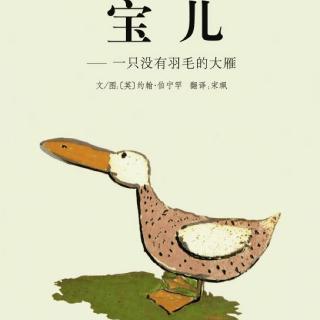 《宝儿——一只没有羽毛的大雁》