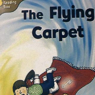 The Flying Carpet