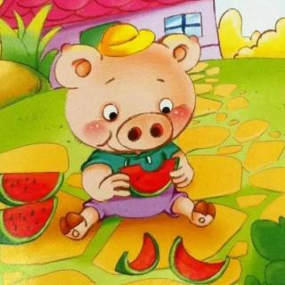 《小猪吃西瓜》