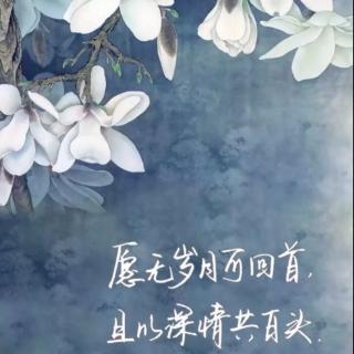 心凉了也好，免得烫手/文：赵春花