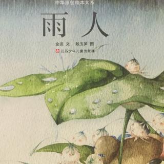 绘本故事《雨人》