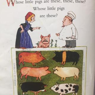 【爱悦虫教你玩转鹅妈妈童谣】whose pigs are these