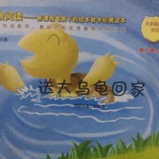 《送大乌龟回家》新世纪贝特幼儿园范老师