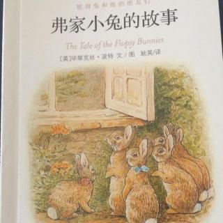 彼得兔和他的朋友们6：弗家小兔的故事