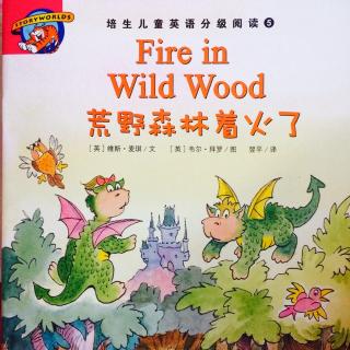 Fire in Wild Wood（荒野森林着火了）