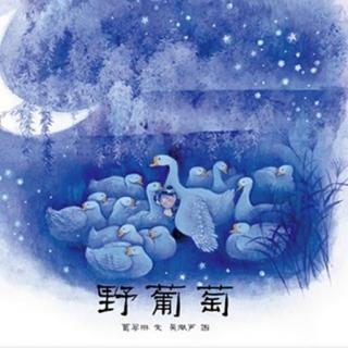 柴老师讲故事-野葡萄