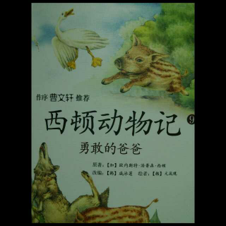 西顿动物记.勇敢的爸爸.作者的话.野猪泡泡