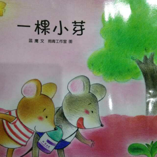 《一颗小芽》