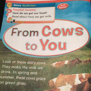 20151210_From Cows to You